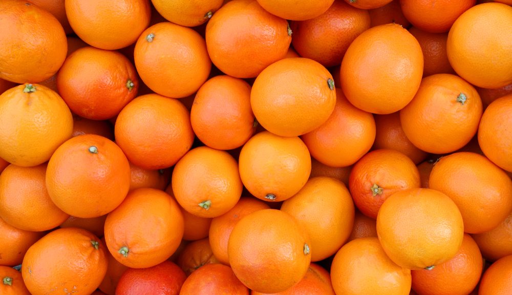 background of juicy ripe oranges freshly picked from the orchard tree