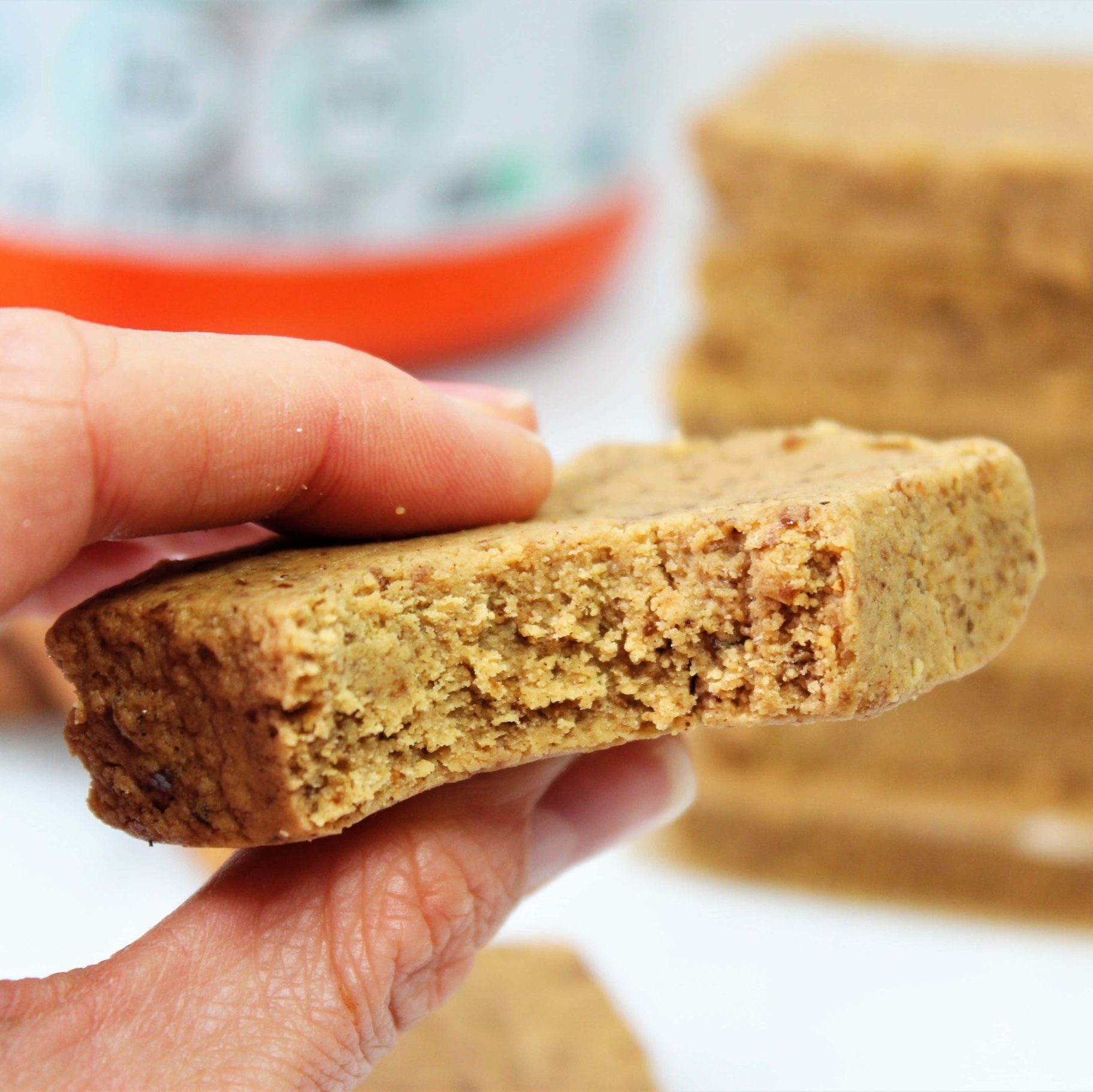 snickerdoodle vegan protein bars